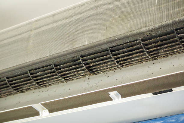 Best Best Air Duct Cleaning Company  in Blackville, SC
